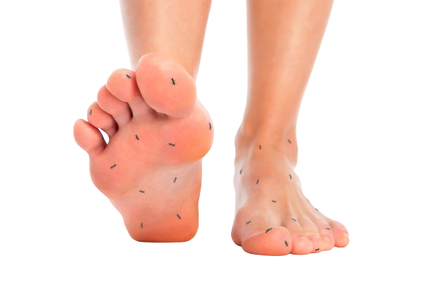 Neuropathy removebg preview