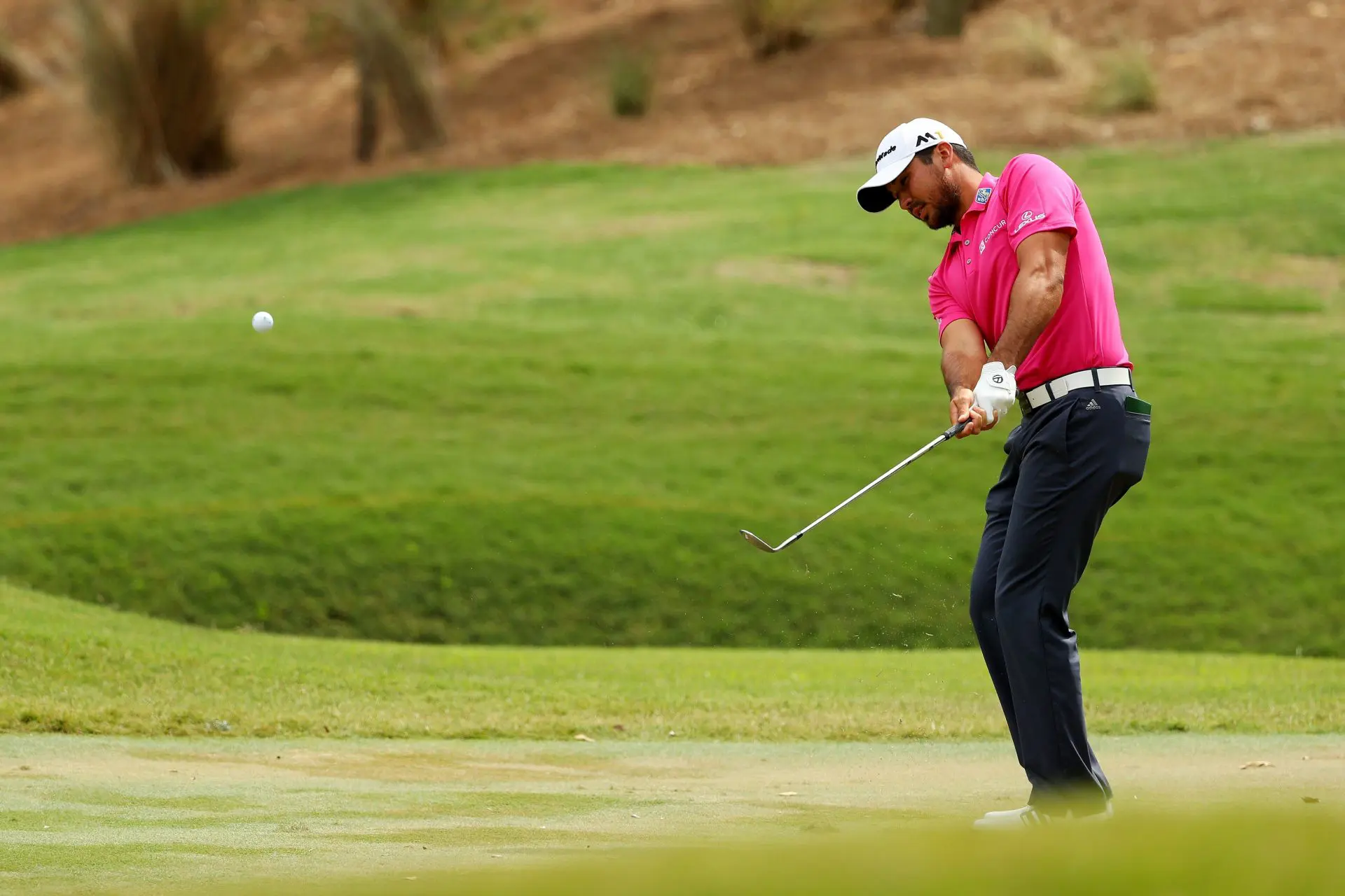 91977cb9ec4b42d7091a2917ed0e129a