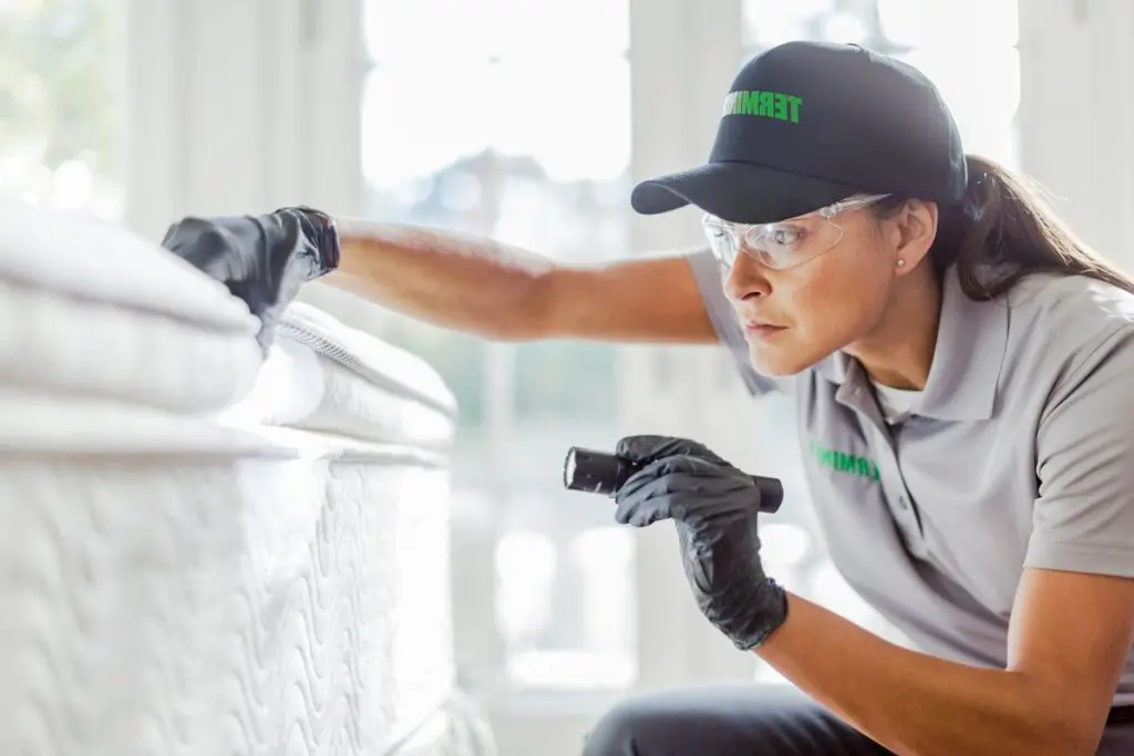 Bed Bugs Control in Queens