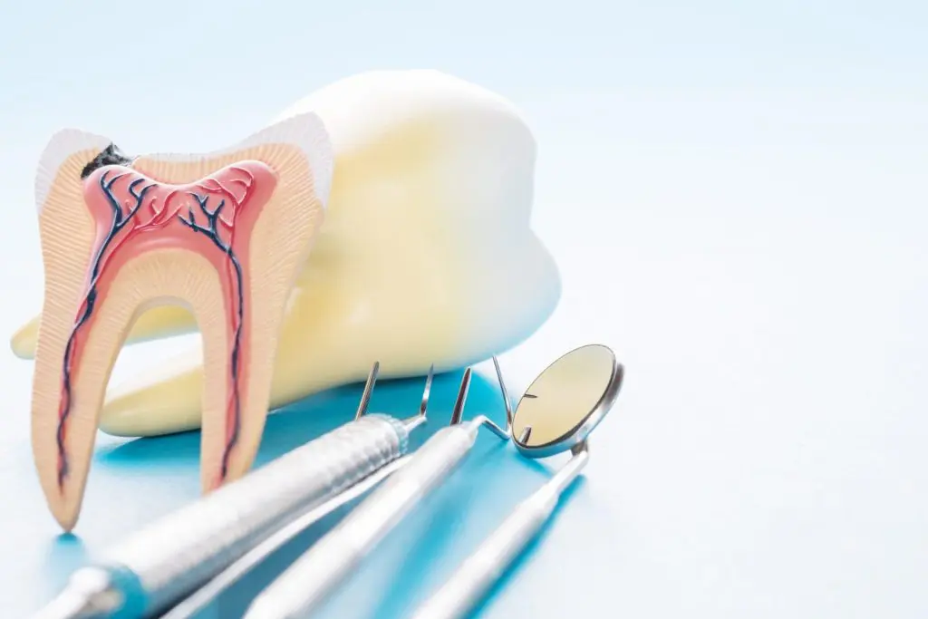 modern smiles endodontics scaled