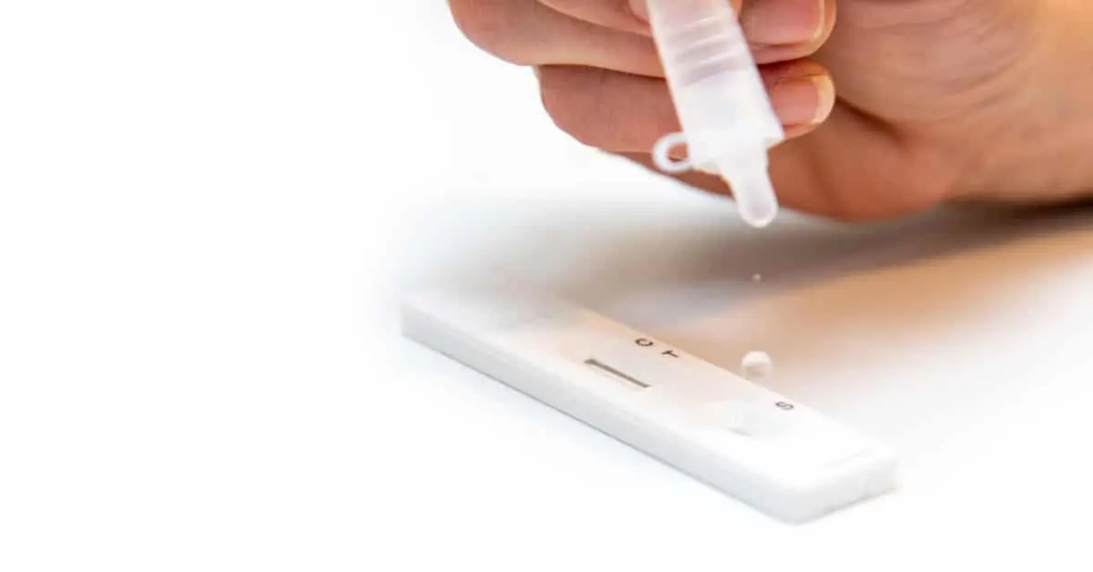 Lateral Flow Assays Market