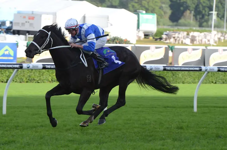 Royal Descent 200413 3523